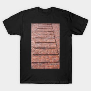 brick wall T-Shirt